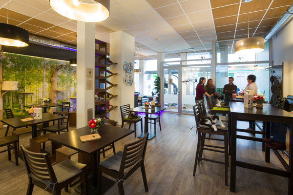 Das Katzencafé - Cat’N’Coffee